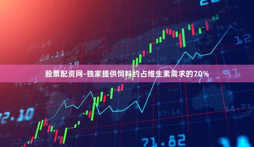 股票配资网-独家提供饲料约占维生素需求的70%