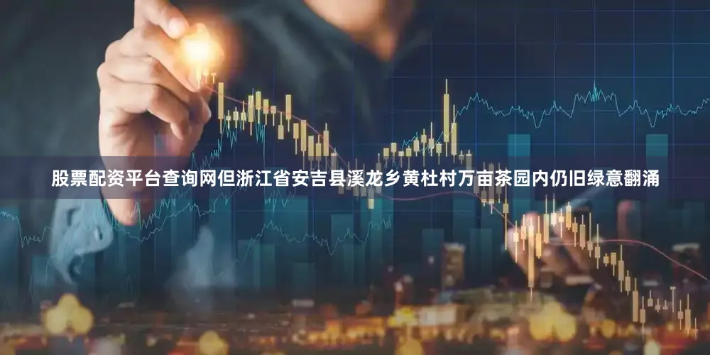 股票配资平台查询网但浙江省安吉县溪龙乡黄杜村万亩茶园内仍旧绿意翻涌